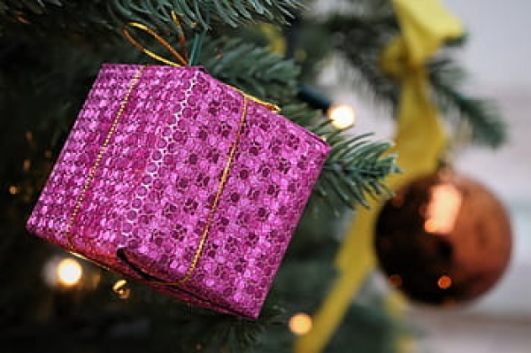 Un regalo al ambiente esta Navidad